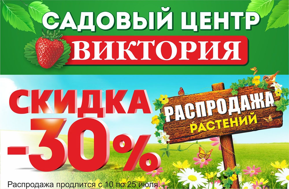 Дача распродажа. Скидки на растения. Скидки на посадочный материал. Баннер садовый центр. Реклама растений.