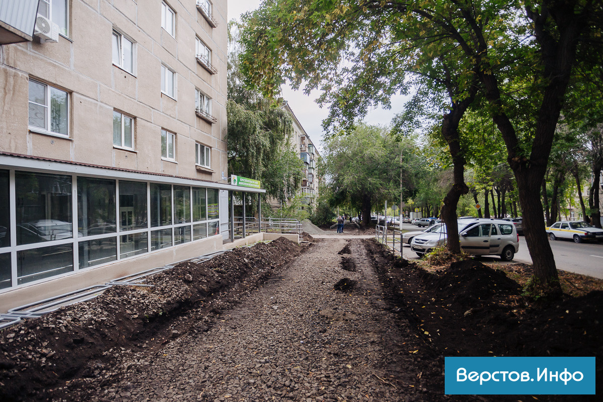 В Магнитогорске жильцы дома в районе телецентра выступили против сноса двух  деревьев | Верстов.Инфо