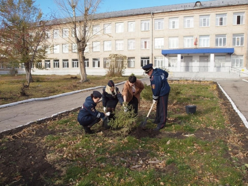 Посадили двухлеток. Инспекторы ГИБДД высадили деревья в пяти школах Магнитогорска