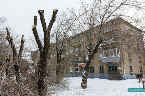 Работа кипит. В Магнитогорске за неделю подстригли и омолодили более 200 деревьев
