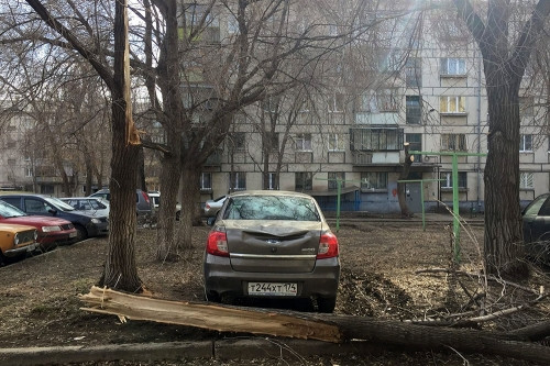 Санитарная обрезка не помогла. В Магнитогорске во дворах ветром сносит старые деревья