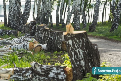Лес рубят – щепки летят. В Магнитогорске начался второй этап реконструкции парка