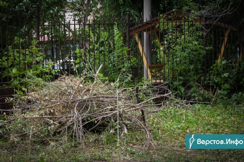 Очень уж жители просили. Во дворе дома № 124/1 по проспекту Ленина  вырубили часть деревьев