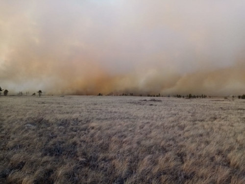 На юге Челябинской области тушат крупный природный пожар. Огнём охвачено 980 гектаров