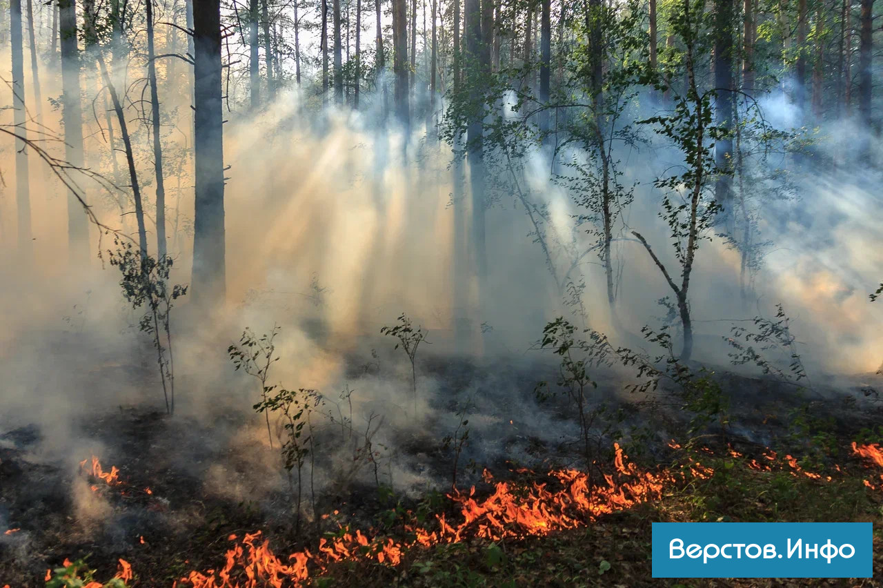 Пожар Варна Челябинская область